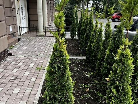 квартира за адресою Травневий пров., 4