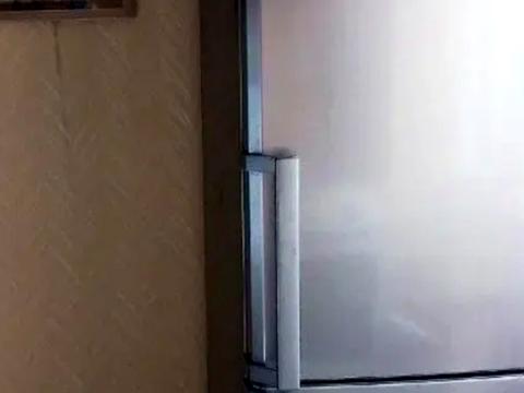 квартира за адресою Раїси Окіпної вул., 5