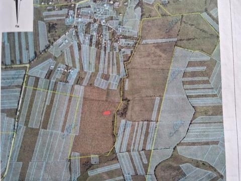 ділянка за адресою с. Коцурів, 