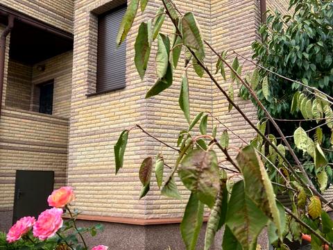 будинок за адресою Клавдії Радченка вул.