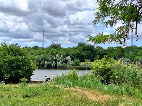 будинок за адресою с. Молодіжне, кооп Заря, 14