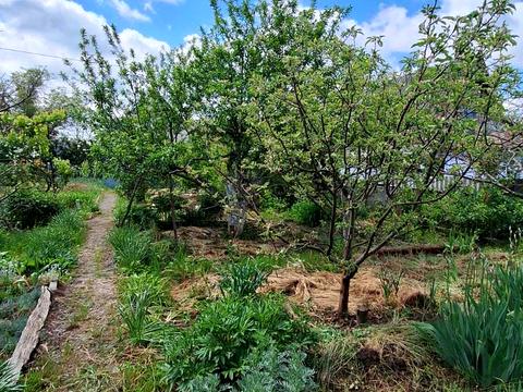 будинок за адресою кооп Заря, 6