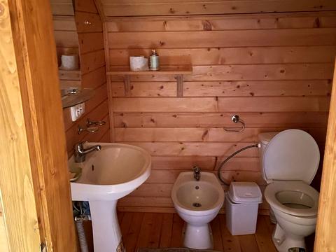 будинок за адресою с. Шешори, Шевченка