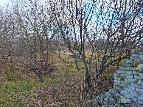 будинок за адресою Центральна