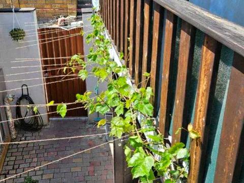 будинок за адресою Одеса, 6й Наявний провулок, 10