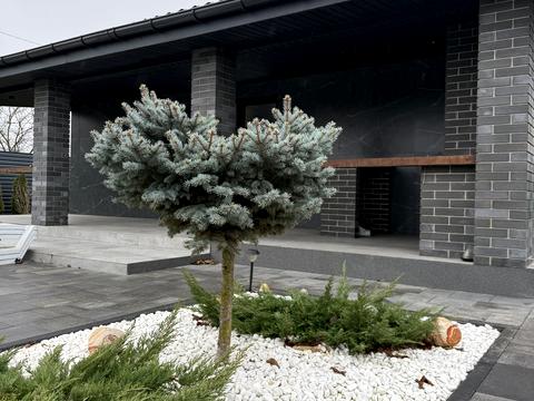 будинок за адресою Миру