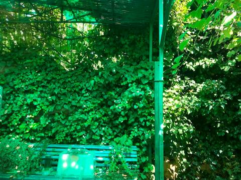 будинок за адресою Абрикосова вул.