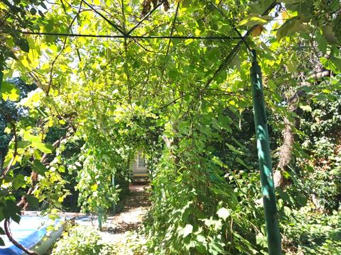 будинок за адресою Абрикосова вул.