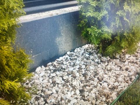 будинок за адресою Яскрава