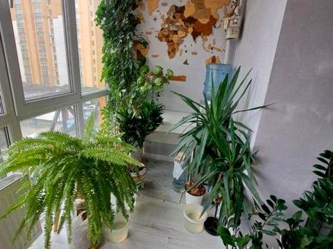 квартира за адресою с. Петропавлівська борщагівка, Соборна вул. (), 10-А