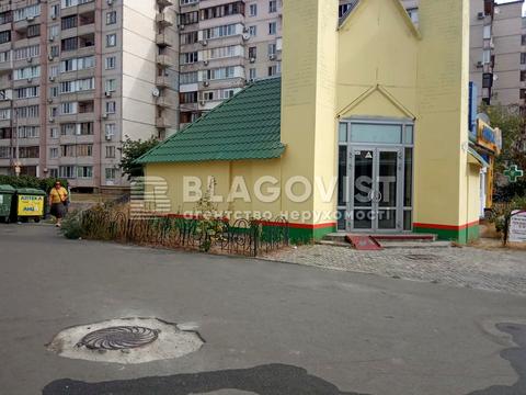 комерційна за адресою Раїси Окіпної вул., 4