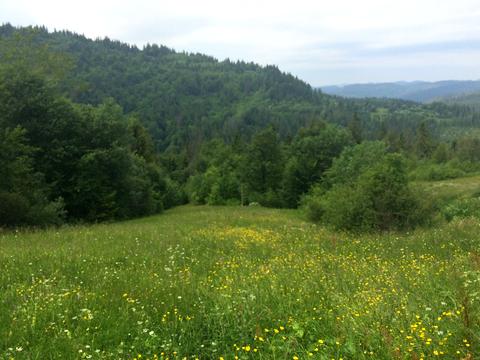 ділянка за адресою 