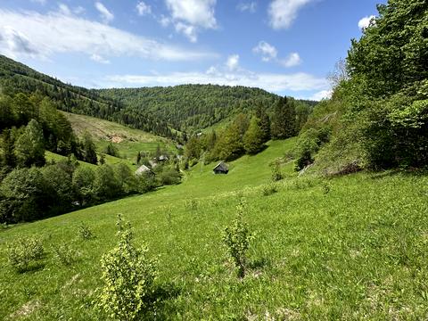 ділянка за адресою 