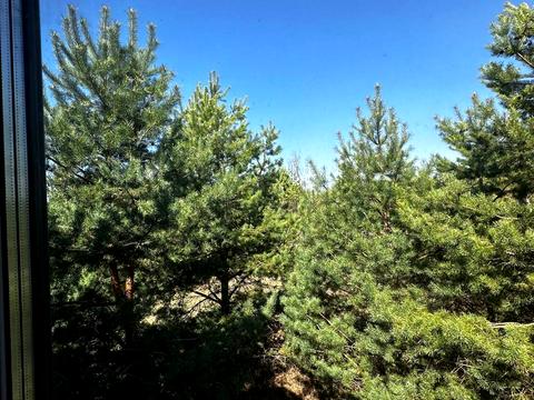 будинок за адресою с. Лишня, Сонячна