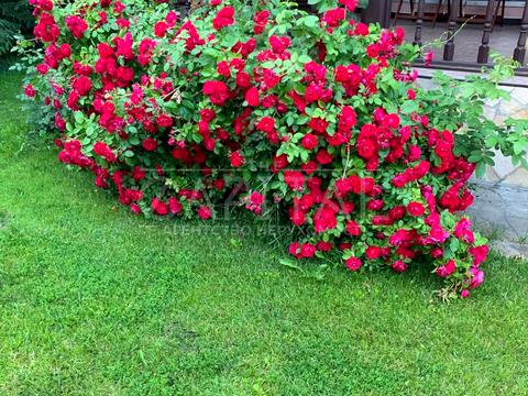 будинок за адресою Жовтнева вул.