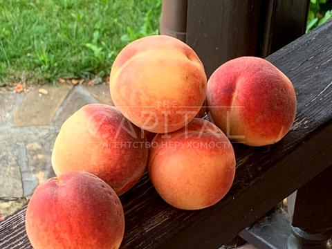 будинок за адресою Жовтнева вул.