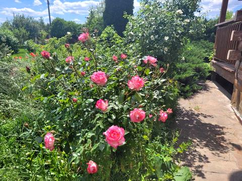 будинок за адресою Козарська, 57