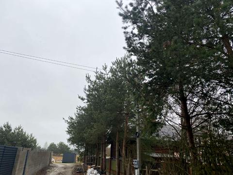 будинок за адресою Янівська, 144