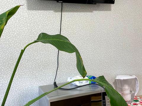 кімната за адресою Січеславська Набережна вул., 6