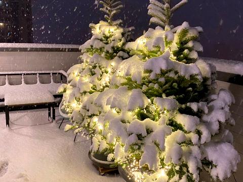 квартира за адресою Степана Рудницького вул. (Академіка Вільямса), 19/14