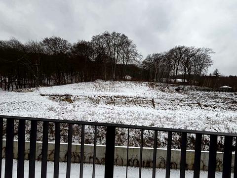 квартира за адресою Лісна вул., (Будинок)