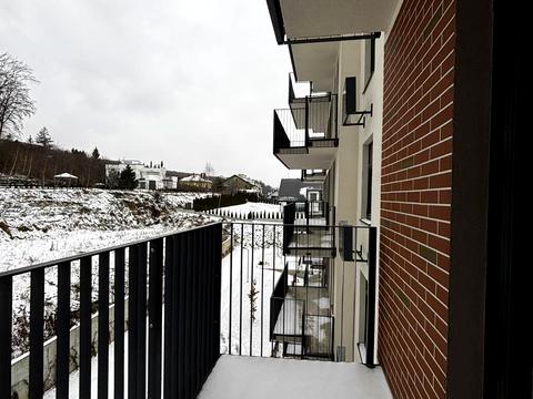 квартира за адресою Лісна вул., (Будинок)