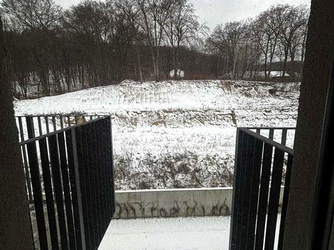 квартира за адресою Лісна вул., (Будинок)