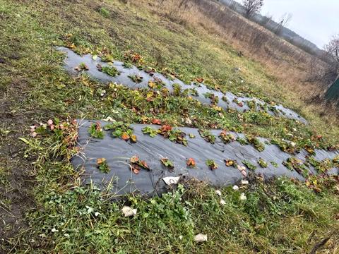 будинок за адресою Шевченка, 46