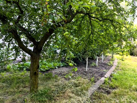 будинок за адресою Київ, Наталії Кобринської вул.