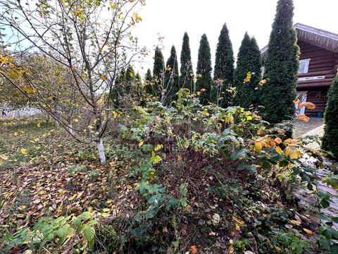 будинок за адресою вул. Світанкова, 1