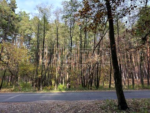 будинок за адресою вул. Світанкова, 1