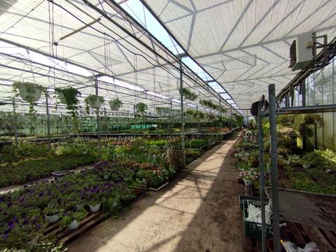 коммерческая по адресу Патруса-Карпатського ул., 4