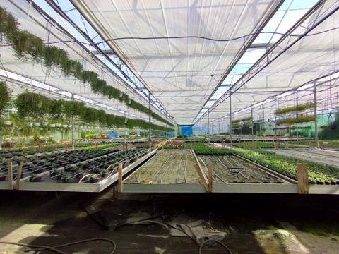 коммерческая по адресу Патруса-Карпатського ул., 4