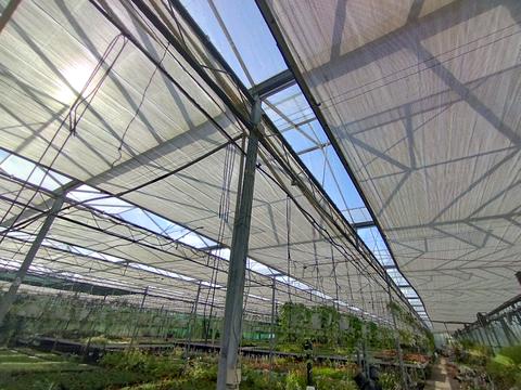 коммерческая по адресу Патруса-Карпатського ул., 4