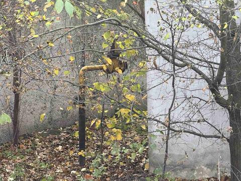 коммерческая по адресу Текстильщиков ул., 1