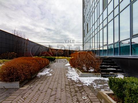 комерційна за адресою Левка Лук'яненка вул. (Маршала Тимошенка), 19