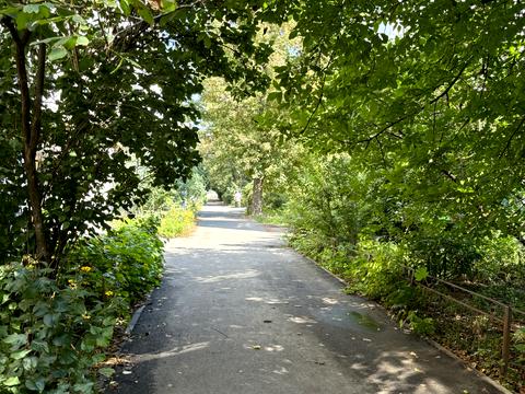 квартира за адресою Академіка Стражеска вул., 3