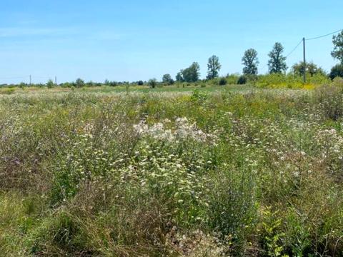 участок по адресу с. Радча, 