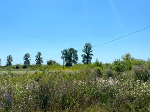 участок по адресу с. Радча, 