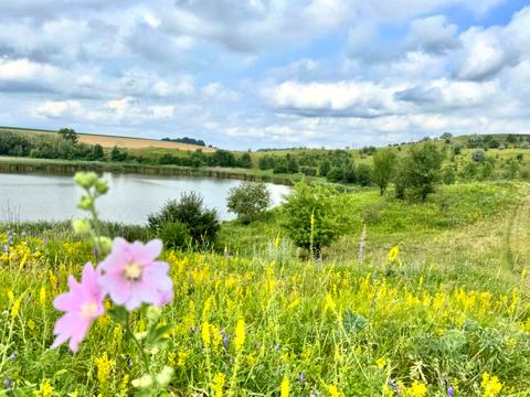 участок по адресу 
