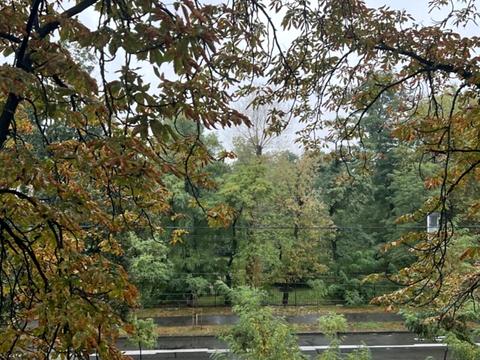 квартира за адресою Щусєва вул., 13