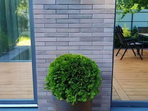 дом по адресу Киевская ул.