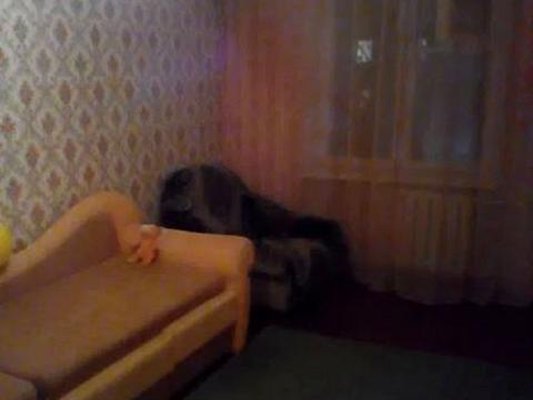 квартира по адресу Героев обороны Одессы ул. (Героїв Сталінграду), 54