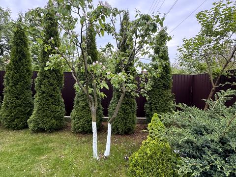 будинок за адресою Героїв Майдану вул. (1 Листопада), 1