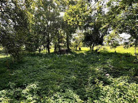 будинок за адресою Садова