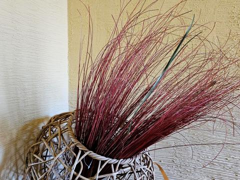 будинок за адресою с. Малечковичі, Шевченка, 37