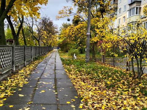 квартира за адресою Миру просп., 12