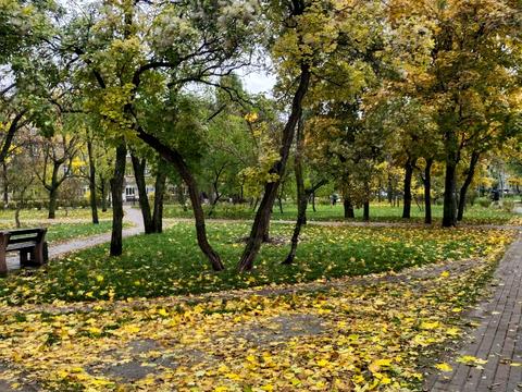 квартира за адресою Миру просп., 12