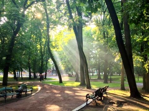 квартира за адресою Львів, Шумлянських вул. (Івана Сєченова), 3