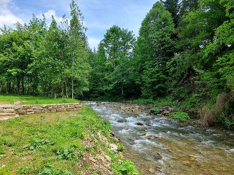 комерційна за адресою Тараса Шевченка вул., 164